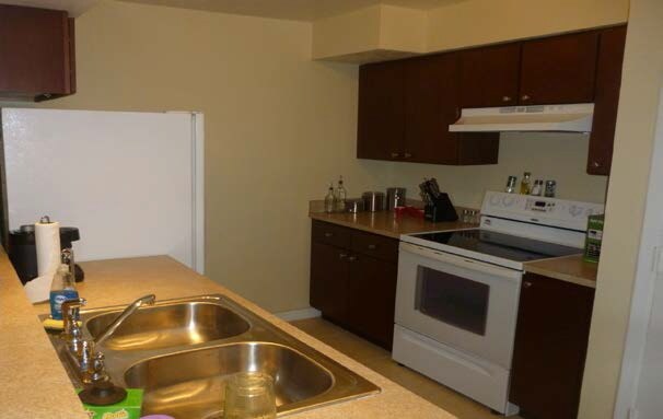 Campus Palms Apartments Tampa Fl Campus Palms Apartments Tampa Fl