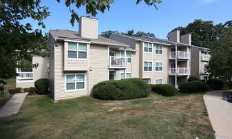 Springwoods at Lake Ridge Apartment Homes