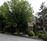 Willowbrook Apartments