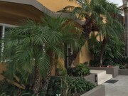 1830 W Commonwealth Ave Fullerton CA Apartments