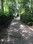 3 Bedroom Single-Family Home for Rent $1000