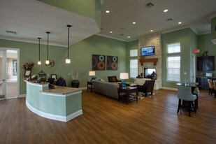 Springs at Stone Oak Village Apartments