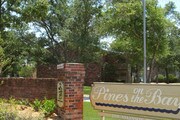 Pines on the Bay Apartments