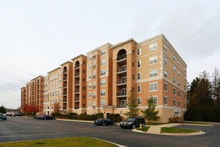 AMLI at Museum Gardens Apartments