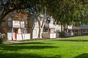 The Commons Apartments