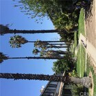 4 Bedroom Townhome for Rent $2050