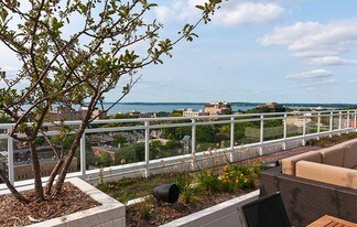 Ovation 309 Apartments
