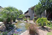 Axiom Tustin Apartments