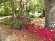 3 Bedroom Single-Family Home for Rent $695