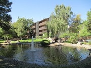 The Pearl At Spring Creek Apartment Homes