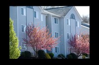 The Harrison at JMU Apartments