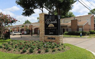 Woods On Lamonte Apartments