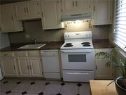 146 Springside Ave New Haven CT