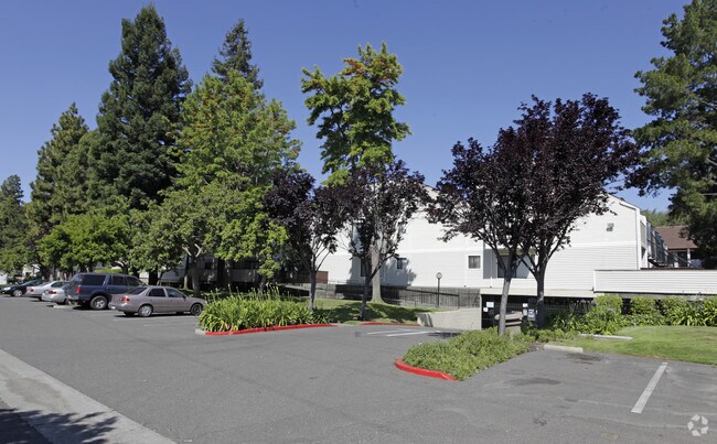 Woodchase Apartments