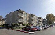 Sycamore Commons Apartments
