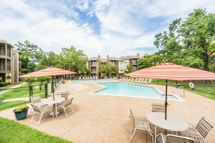 Bluff Creek Apartments