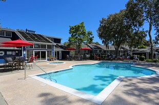 Bay Village Apartments