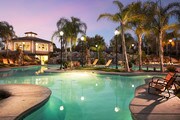 The Palms Apartments