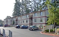 Springtree Apartments