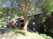 Wildwoods Of Lake Johnson Apartments