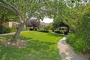 Lake Pointe Apartments