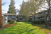 Coffeetree Apartments