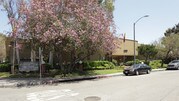 Country Villa Apartments