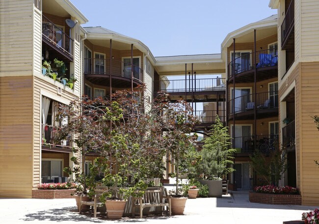 Windsor at Shirlington Village Apartments