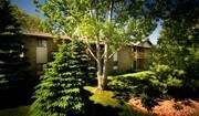Brook Park Apartments