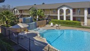Peppertree Apartamentos