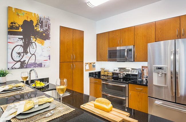 Fenway Diamond at 9 Miner Street Apartments