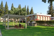 Wedgewood Apartments