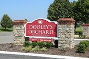 Dooley's Orchard Apartments