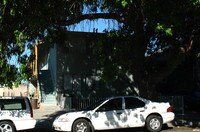 1241 Plum St Apartments