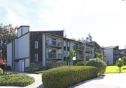 Apricot Pit Apartamentos
