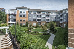 Lerner Falls at Flint Hill Apartments
