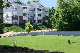 Cedar Springs Apartments