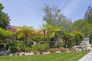 Spring Creek Apartments