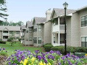 Steeple Chase Apartments