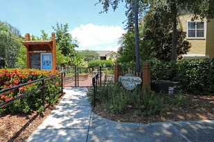 Post Rocky Point Apartments