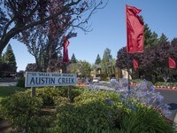 Austin Creek Apartments