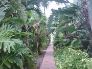 612 NE 29th St Wilton Manors FL Apartments