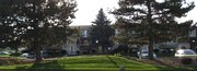 The Meadows of Elyria Apartments