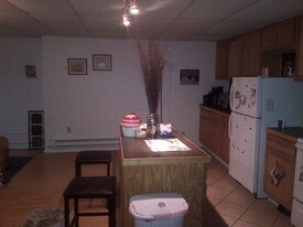 259 W Shawnee Ave Plymouth PA Apartments