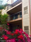 2 Bedroom Single-Family Home for Rent $1195