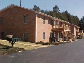 443 Louise Ave Marion VA Apartments