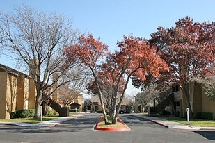 Windtree Apartments