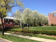 Chanler at Montclair Apartments