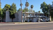 Solaris on University Apartments