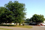 3 Bedroom Single-Family Home for Rent $856